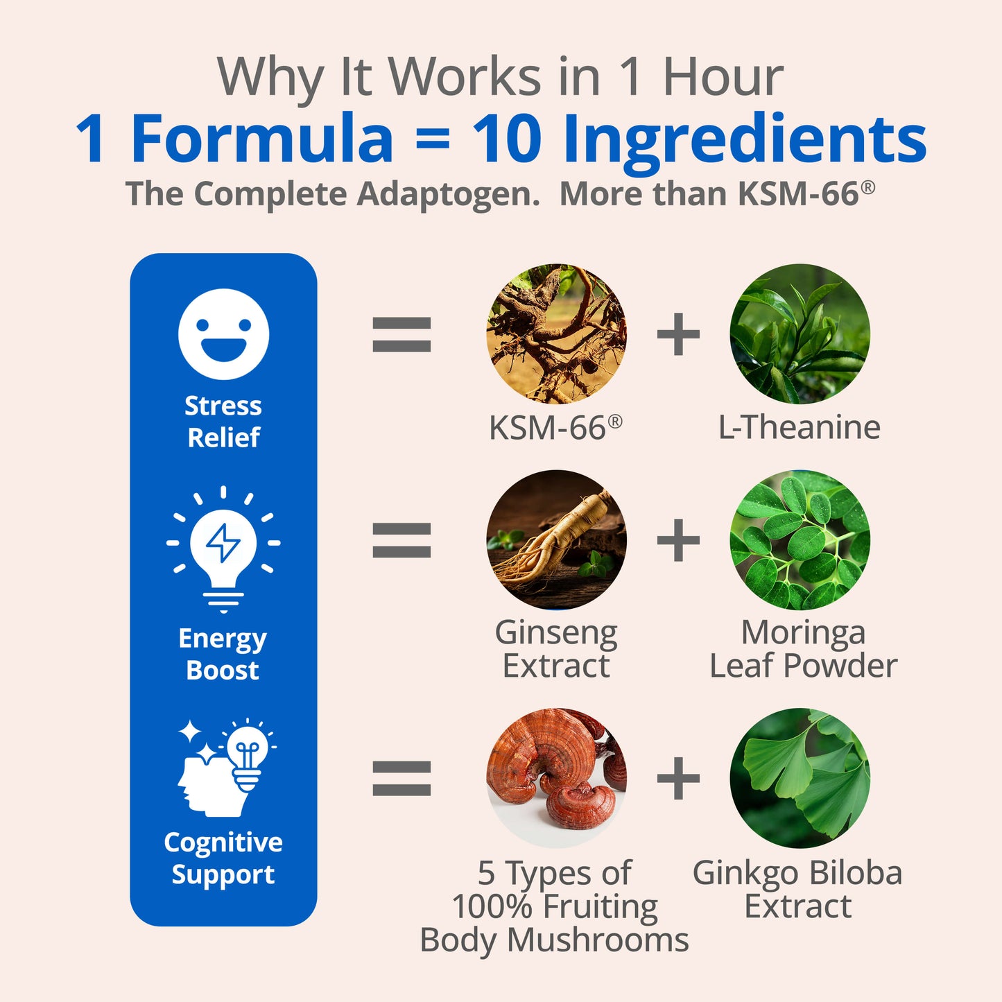KSM-66 Ashwagandha Supplements